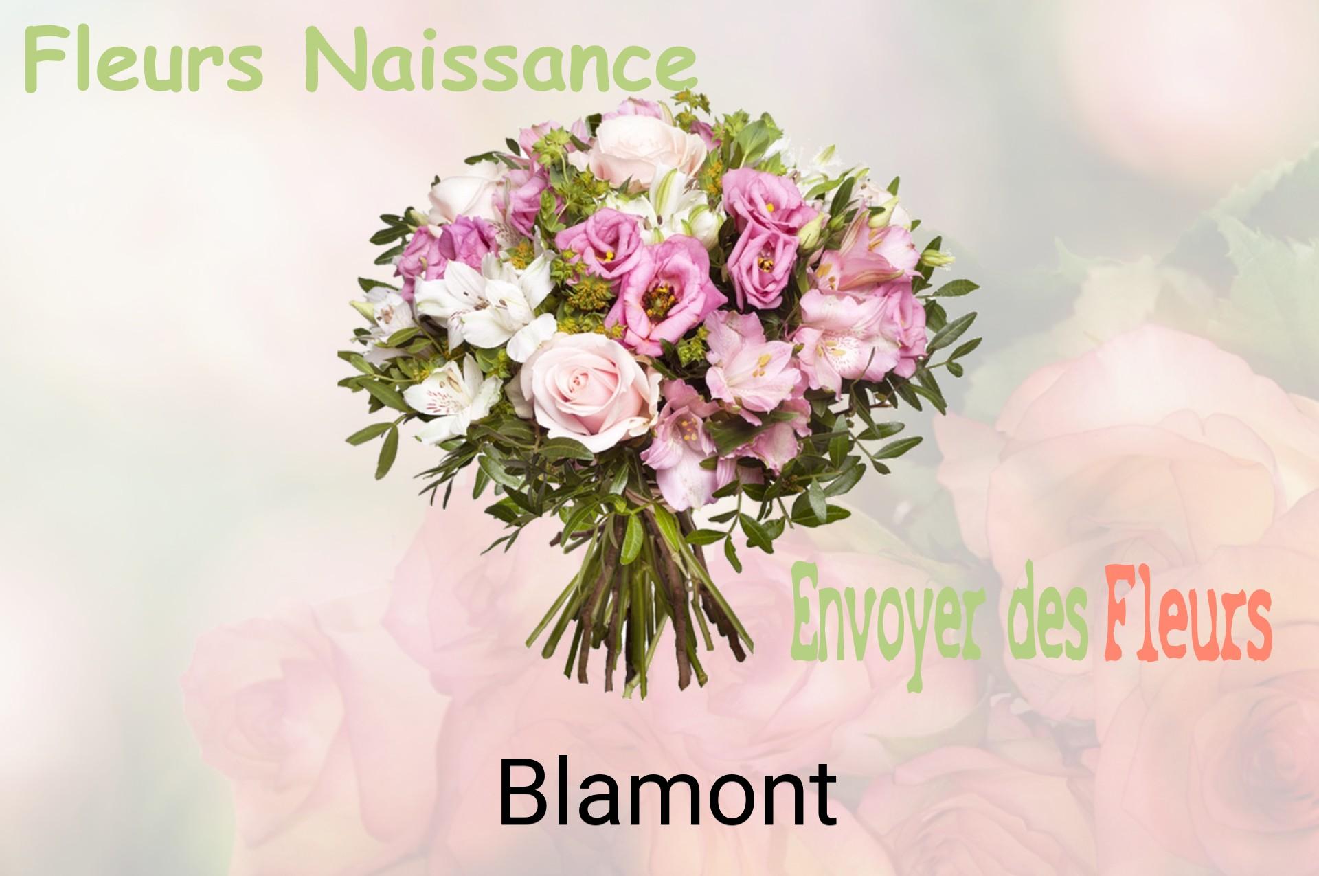 Bouquet de fleurs de naissance livré à Blamont